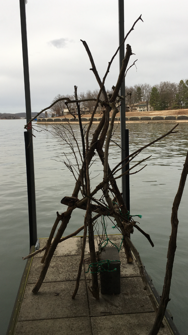 Crappie beds